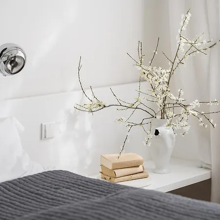 ホテル Holeckova 4*